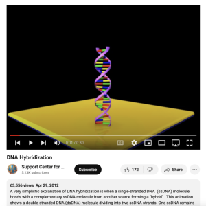 Screenshot for DNA Hybridization