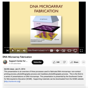 Screenshot for DNA Microarray Fabrication