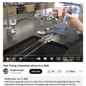 Screenshot for Heat Fixing a Bacterial Culture to a Slide
