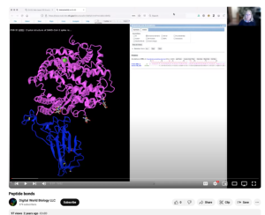 Screenshot for Peptide Bonds