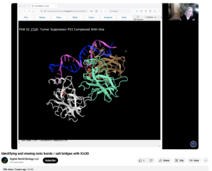 Screenshot for Identifying and Viewing Ionic Bonds / Salt Bridges With iCn3D