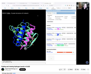 Screenshot for Finding and Viewing Hydrogen Bonds in iCn3D