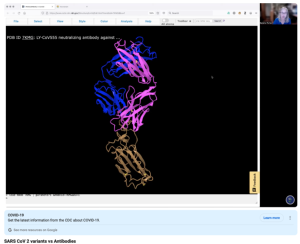 Screenshot for SARS-CoV-2 Variants vs Antibodies