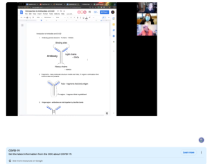 Screenshot for Antibodies and iCn3D