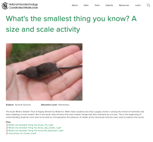 Screenshot for What's the Smallest Thing You Know? A Size and Scale Activity