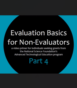 Screenshot for Evaluation Basics for Non-Evaluators: Who can do it? (4 of 6)