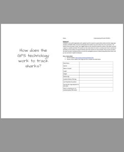 Screenshot for Tracking Sharks with GPS Worksheet